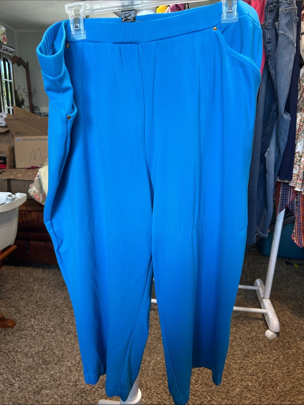 Anthony Vibrant Turquoise Wide-Leg Pull-On Pants Size 2X